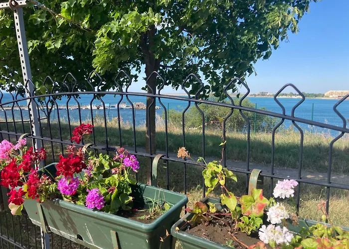 דירה Art Marina Cape-private Host